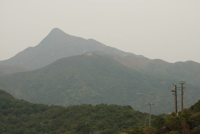 DSC_0984a