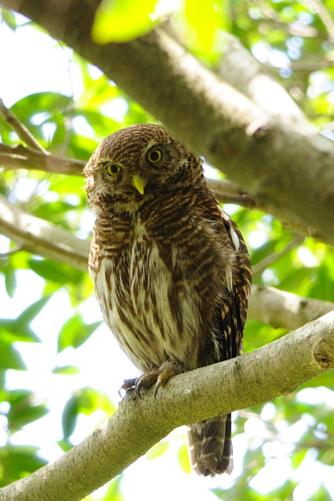 DSC_2974.jpg