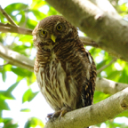 DSC_2974.jpg